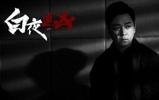 白夜追凶第一季在线观看,黑白交织的悬疑追凶之旅  第2张