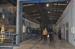 吉林木材厂爆料视频大全,揭露行业黑幕与真相 第3张 吉林木材厂爆料视频大全,揭露行业黑幕与真相 第3张