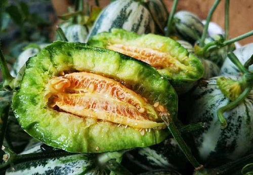 山东两位网红吃瓜视频曝光