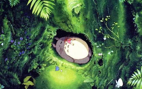 龙猫博士爆料视频大全下载,揭秘神秘世界背后的真相 第3张 龙猫博士爆料视频大全下载,揭秘神秘世界背后的真相 第3张